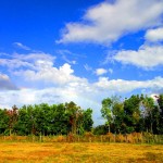 Sampaguita, Where The Blue Skies and Green Fields Meet